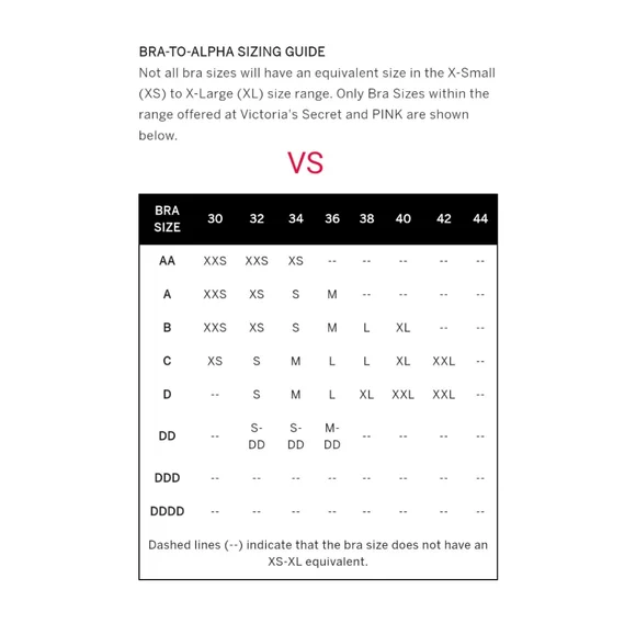 NWOT Victoria Secret Dream Angels Corset M-DD / 36DD Pink & Black - Picture 4 of 4